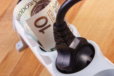 Elektrik uzantısı bağlı Tak ve Polonya para birimi para, enerji maliyetleri ile