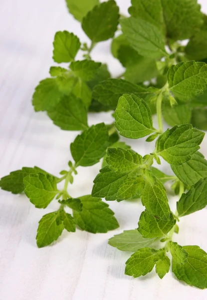 Beyaz ahşap masa, herbalism üzerinde taze sağlıklı Melisa — Stok fotoğraf