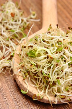 Yonca ve turp lahanası vurgunun, ahşap arka plan