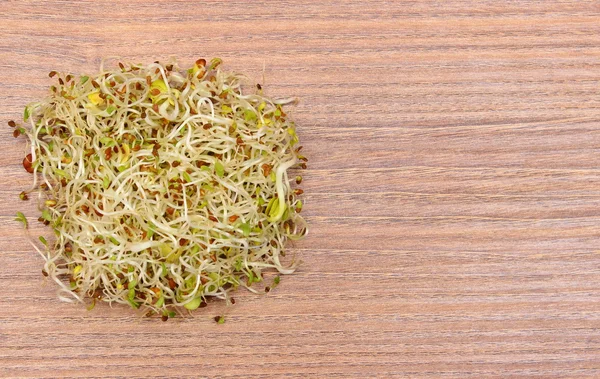 Alfalfa and radish sprouts on wooden table — Stock Photo, Image