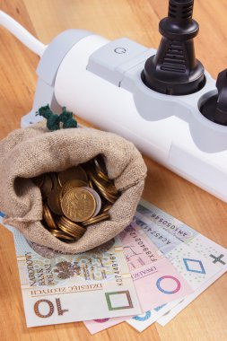 Elektrik güç uzatma kablosuna bağlı Tak ve Polonya para birimi para, enerji maliyetleri ile