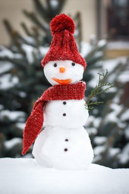 Snowman wrapped scarf with woolen cap, winter time, seasonal concept