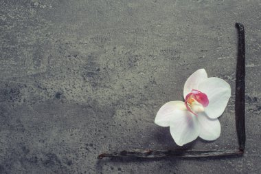 Vintage fotoğraf, orkide ve hoş kokulu çiçek açan vanilya sopa, kopya alanı metin için