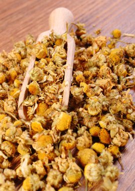 Ahşap masa, alternatif tıp üzerinde kurutulmuş papatya