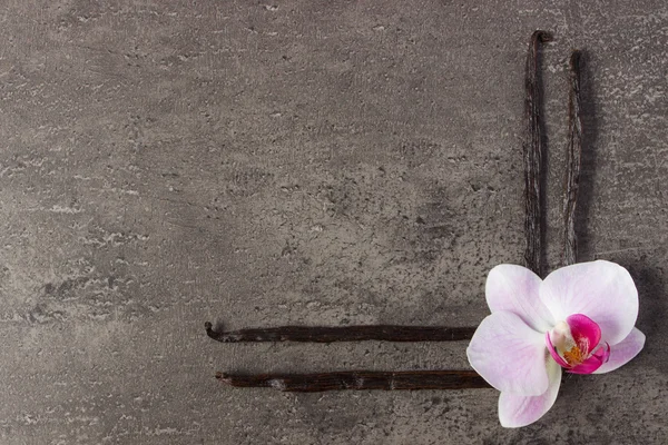 Orquídea florescente e palitos de baunilha perfumados, espaço de cópia para texto — Fotografia de Stock