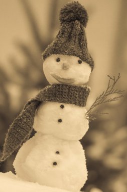 Snowman wrapped scarf with woolen cap, winter time, seasonal concept