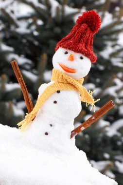Snowman wrapped woolen scarf and cap, winter season concept