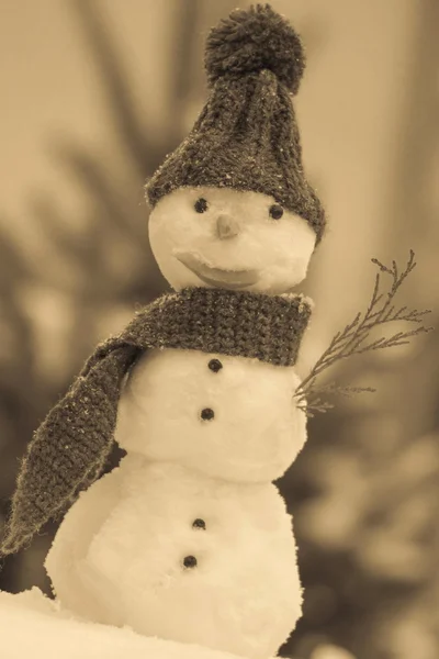 Snowman wrapped scarf with woolen cap, winter time, seasonal concept — Stockfoto