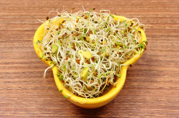 Bowl with alfalfa and radish sprouts on wooden table — Stock Photo, Image