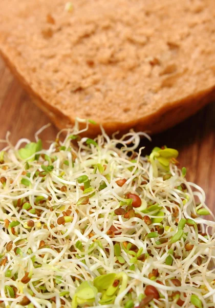 Wholemeal bread roll with alfalfa and radish sprouts — Stock Photo, Image