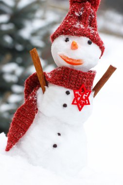Snowman wrapped woolen scarf and cap, winter season concept