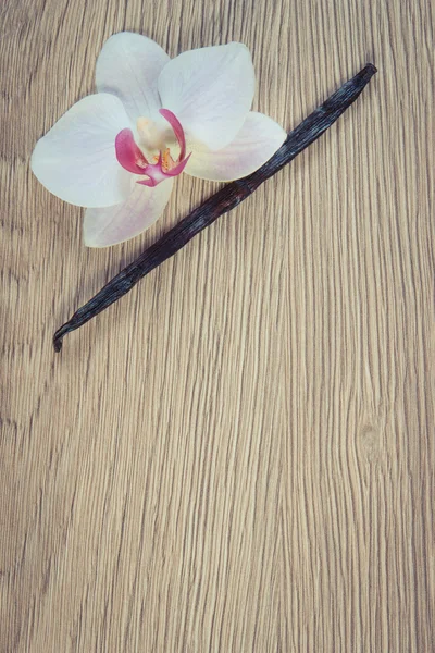 Foto vintage, orquídea florescente e palitos de baunilha perfumados, espaço de cópia para texto — Fotografia de Stock
