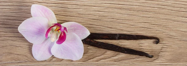 Virágzó orchidea és illatos vanília rúd — Stock Fotó