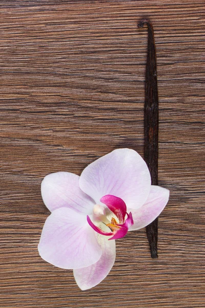 Orquídea florescente e palitos de baunilha perfumados — Fotografia de Stock