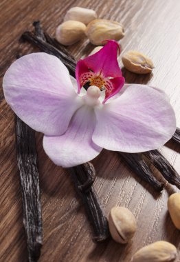 Orkide ve güzel kokulu vanilya çubukları, kozmetik malzemeler çiçeklenme fıstık fındık