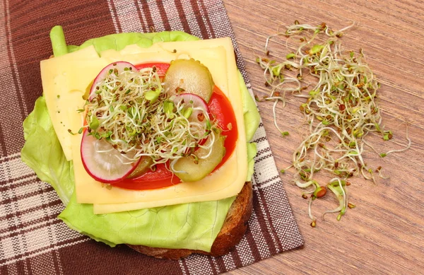 Vegetarische sandwich met luzerne en radijs spruiten — Stockfoto