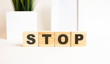 Beyaz bir masanın üzerinde harfler olan tahta küpler. Fotoğraf çerçeveli beyaz arkaplan, ev bitkisi.