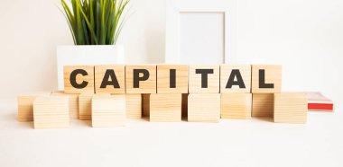 Beyaz bir masanın üzerinde harfler olan tahta küpler. Kelime CAPITAL. Fotoğraf çerçeveli beyaz arkaplan, ev bitkisi.
