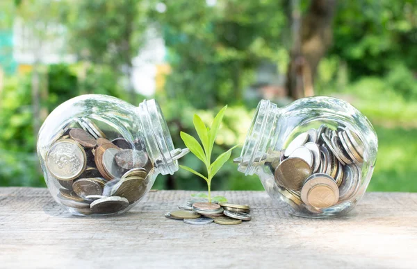 Plant Growing Coins Two Glass Jars Blurred Green Natural Background — Stock Photo, Image