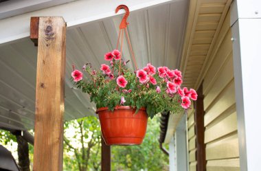 Çiçek saksısı ve güzel petunyalar evin çatısında asılı duruyor. Terası aç.