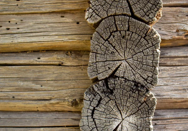 Logs of a wooden house. The house is made of timber. Wall of wooden logs, closeup. image