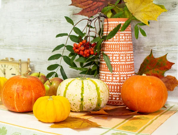 Thanksgiving Day Fruits Vegetables Table Autumn Harvest Time Abundance Congratulations — Stock Photo, Image