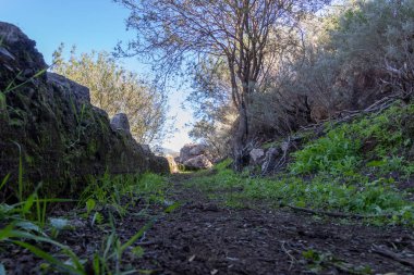Mavi gökyüzü ve yeşil çimlerle çevrili kayalar ve ağaçlarla çevrili bir yolun zemin seviyesindeki görüntüsü..