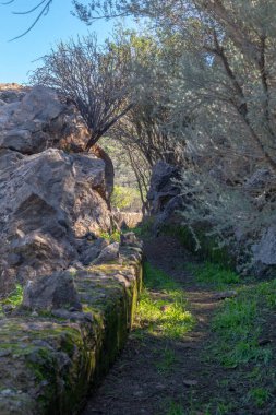 Yerde ve mavi gökyüzünün altında çimen olan kayalar ve ağaçlar arasında küçük bir patika.