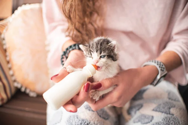Dívka Koťátkem Kojící Kojící Pije Mléko Krmící Láhve Novorozence Milovník — Stock fotografie