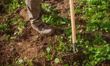 Tarım, ekolojik tarım ve bahçe işleri için çapa ve tırmıkla yere basan botlar.