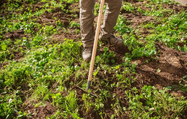 Boots stepping on the ground with hoe and rake for agriculture, ecologic farm work and gardening