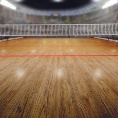 Voleybol Arena seyirci ve kopya alanı ile
