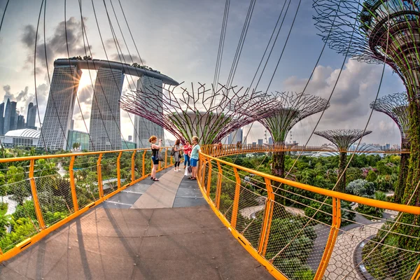 Vista al atardecer de Supertree Grove en Gardens by the Bay — Foto de Stock