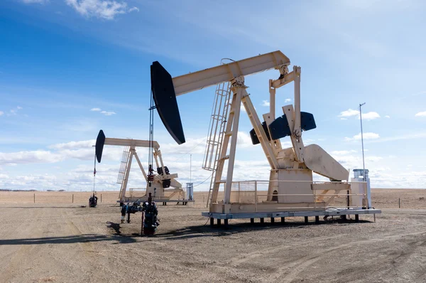 Pumpjacks ve venkovských Alberta, Kanada — Stock fotografie