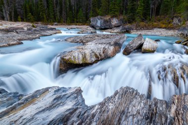 Doğal köprü Yoho Milli Parkı British Columbia