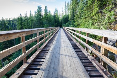 Myra Kanyon Provincial Park, Amerika Birleşik Devletleri, tarihi sehpa