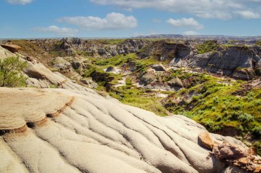 Bir UNESCO Dünya Mirası Sitesi olan Alberta, Kanada 'daki Dinozor İl Parkı, dünyanın en zengin fosil bölgelerinden biri olan, çarpıcı çorak arazi topografisi ve dinozor fosillerinin bolluğu ile ünlüdür..
