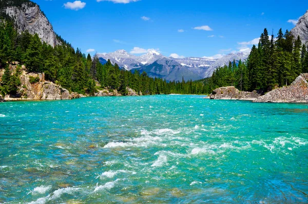 Rapidly Flowing Waters Bow River Banff National Park Surrounding Pine — Stock Photo, Image