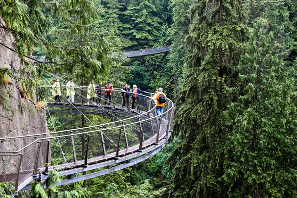 Cliff walk over capilano rivier in vancouver — Stockfoto