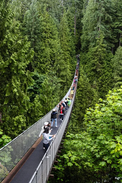 Capilano Suspension Bridge in Vancouver — Stock Photo, Image