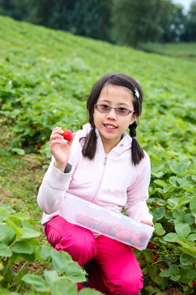 Chica asiática recogiendo fresas — Foto de Stock