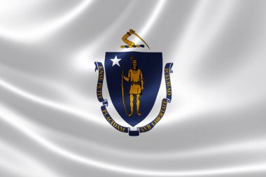 Massachusetts eyalet bayrağı