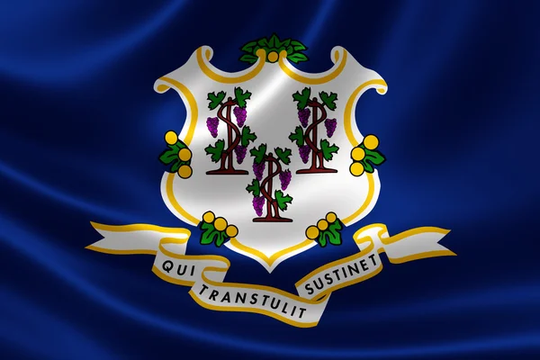 Connecticut State Flag — Stock Photo, Image