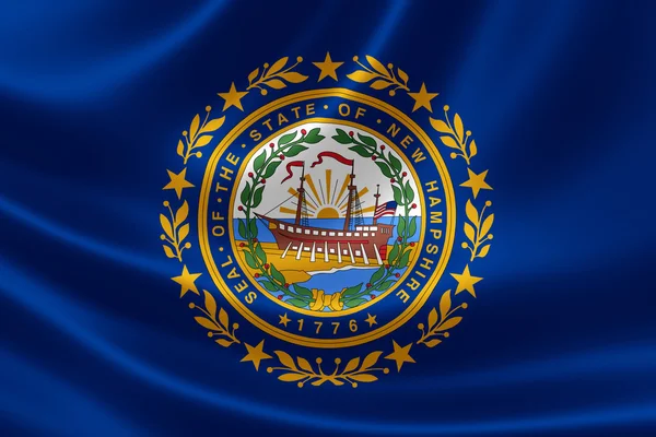 新罕布什尔州州旗 — 图库照片