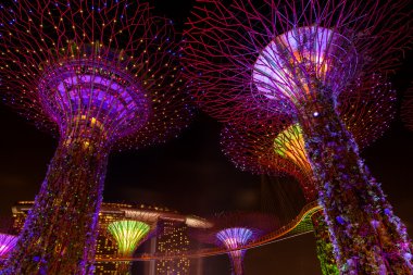 Göz kamaştırıcı ışık gösterisi Supertree Grove ve Marina Bay Singapur