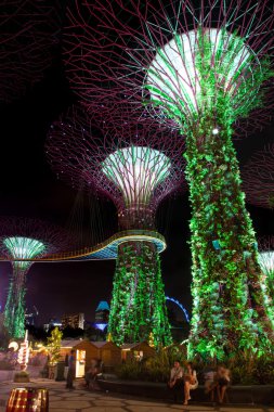 Singapur Körfezi 'ndeki Gardens' taki Supertree Grove.