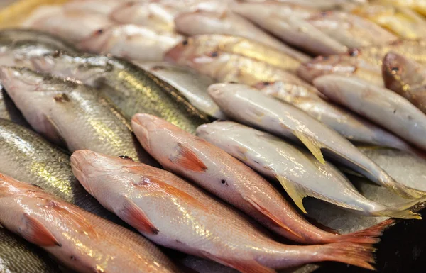 Pescado fresco en el mercado local — Foto de Stock