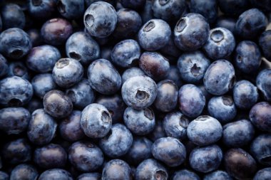 Taze yaban mersinine yakın çekim