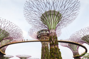 İkonik Supertree Grove Gardens Bay tarafından
