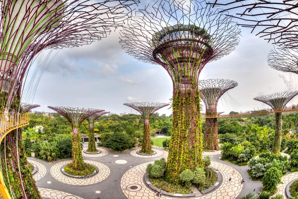 Iconische Supertree Grove op tuinen langs de baai — Stockfoto